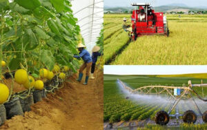 Đất nông nghiệp là gì? Có được chuyển sang đất thổ cư không?