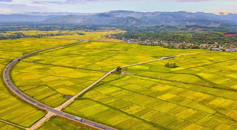 Có nên mua đất đồng sở hữu không? Lưu ý gì khi mua đất đồng sở hữu?