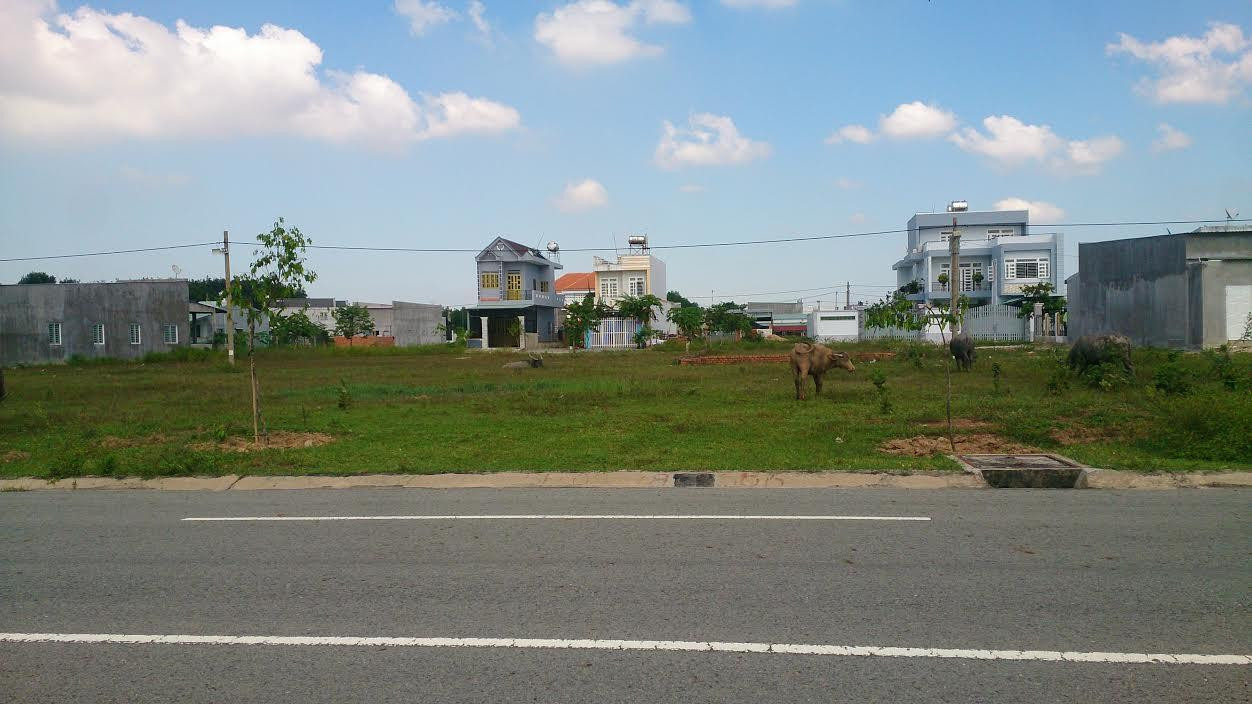Chuyển đổi đất phủ hồng