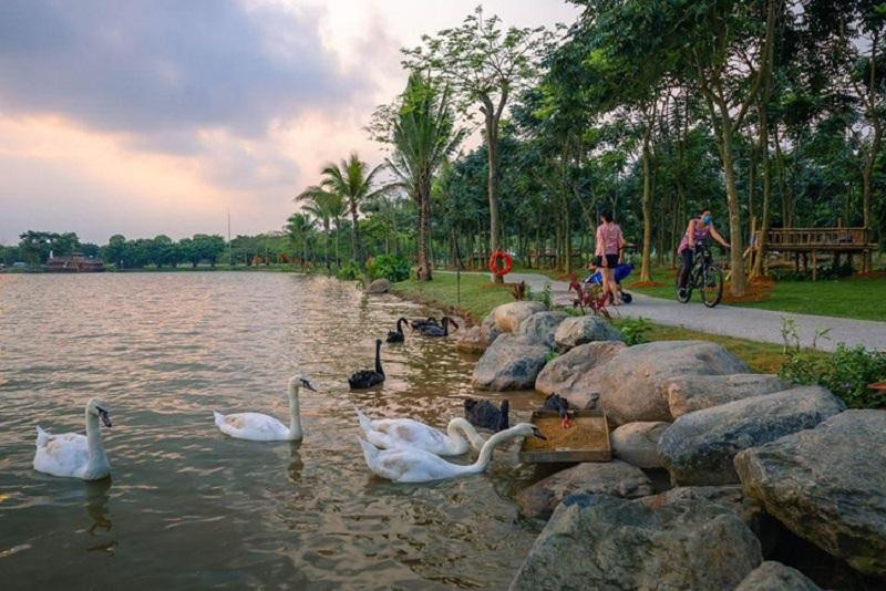 Công viên Hồ Thiên Nga Ecopark