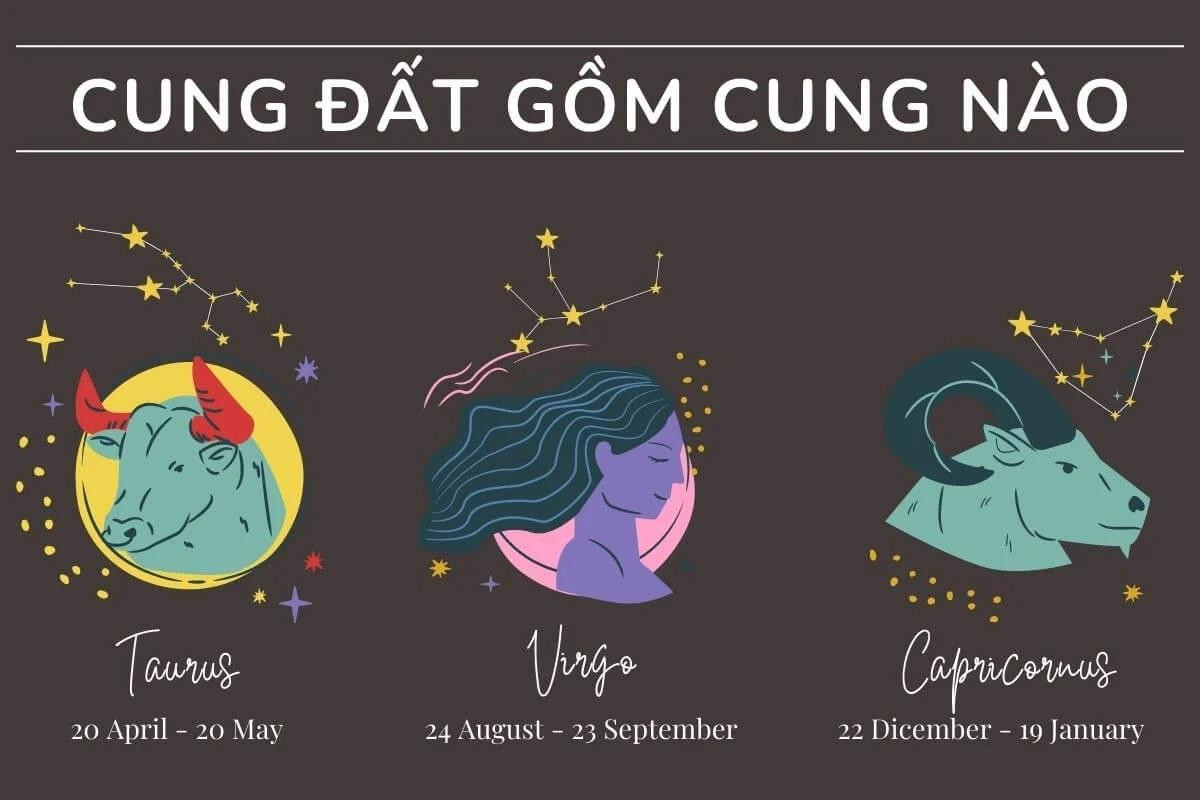 Cung đất là gì