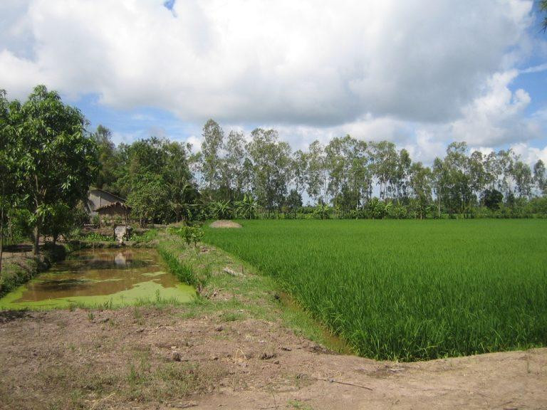 Đất giồng ở miền Tây Nam Bộ