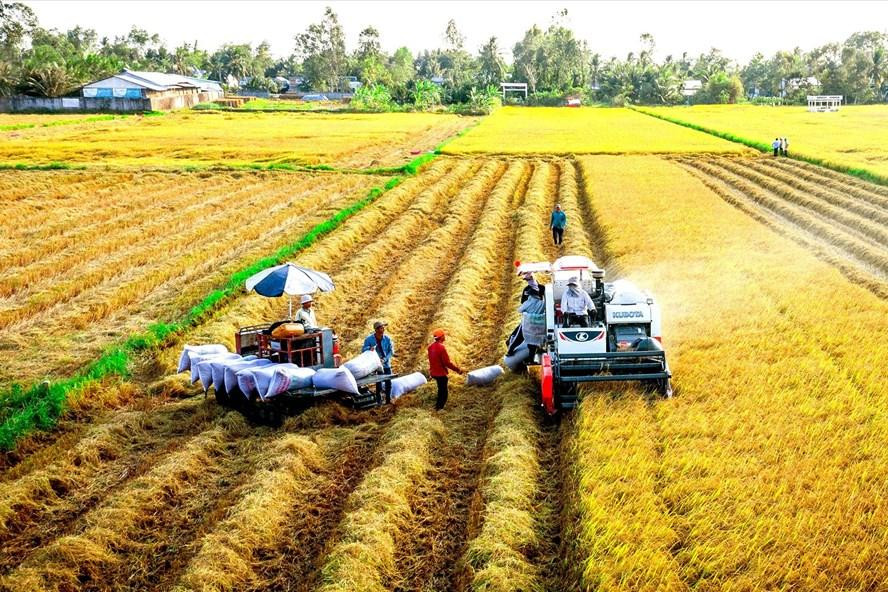 Đất LUC và vai trò của nó trong sản xuất nông nghiệp