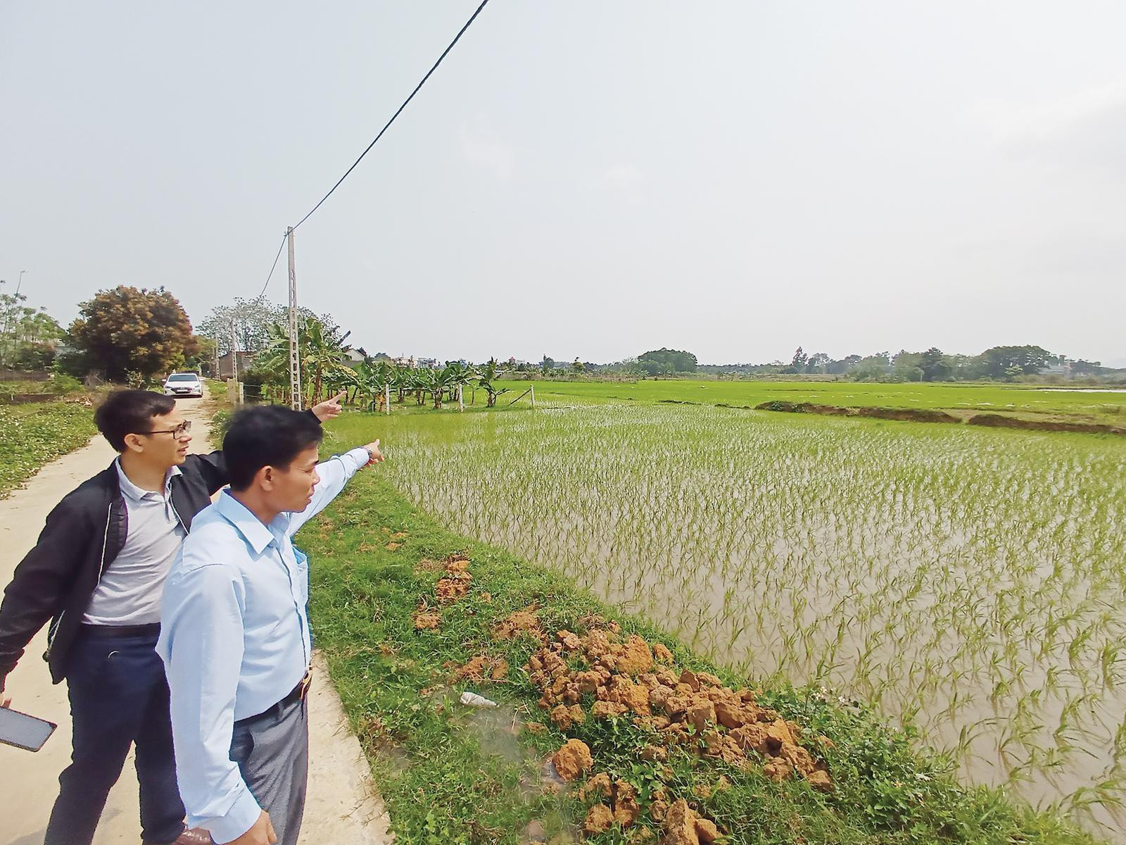 Đất ngộp là gì?