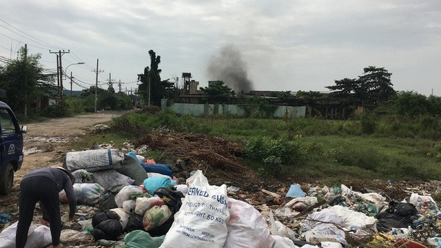 Đất nông nghiệp quy hoạch trồng lúa bị người dân bỏ hoang.