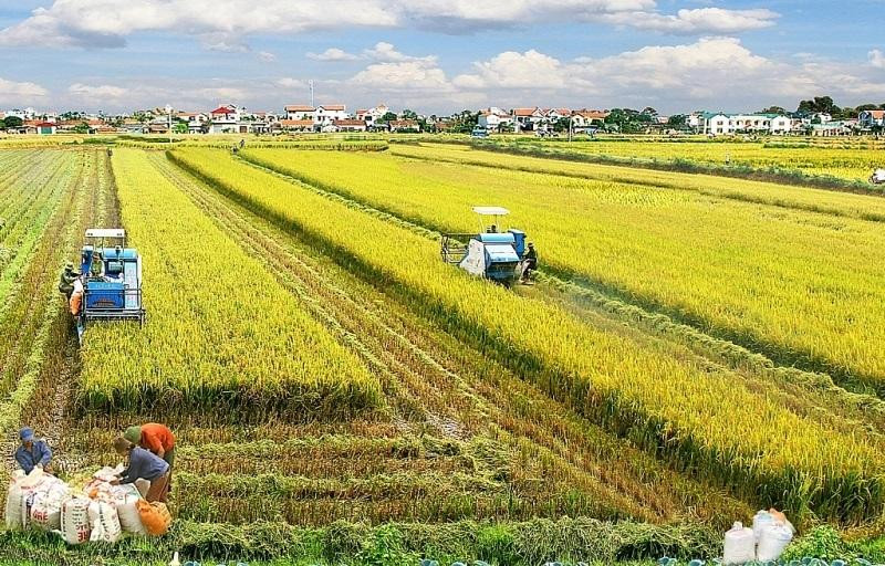 Hình ảnh minh họa cho các đối tượng chịu thuế sử dụng đất nông nghiệp