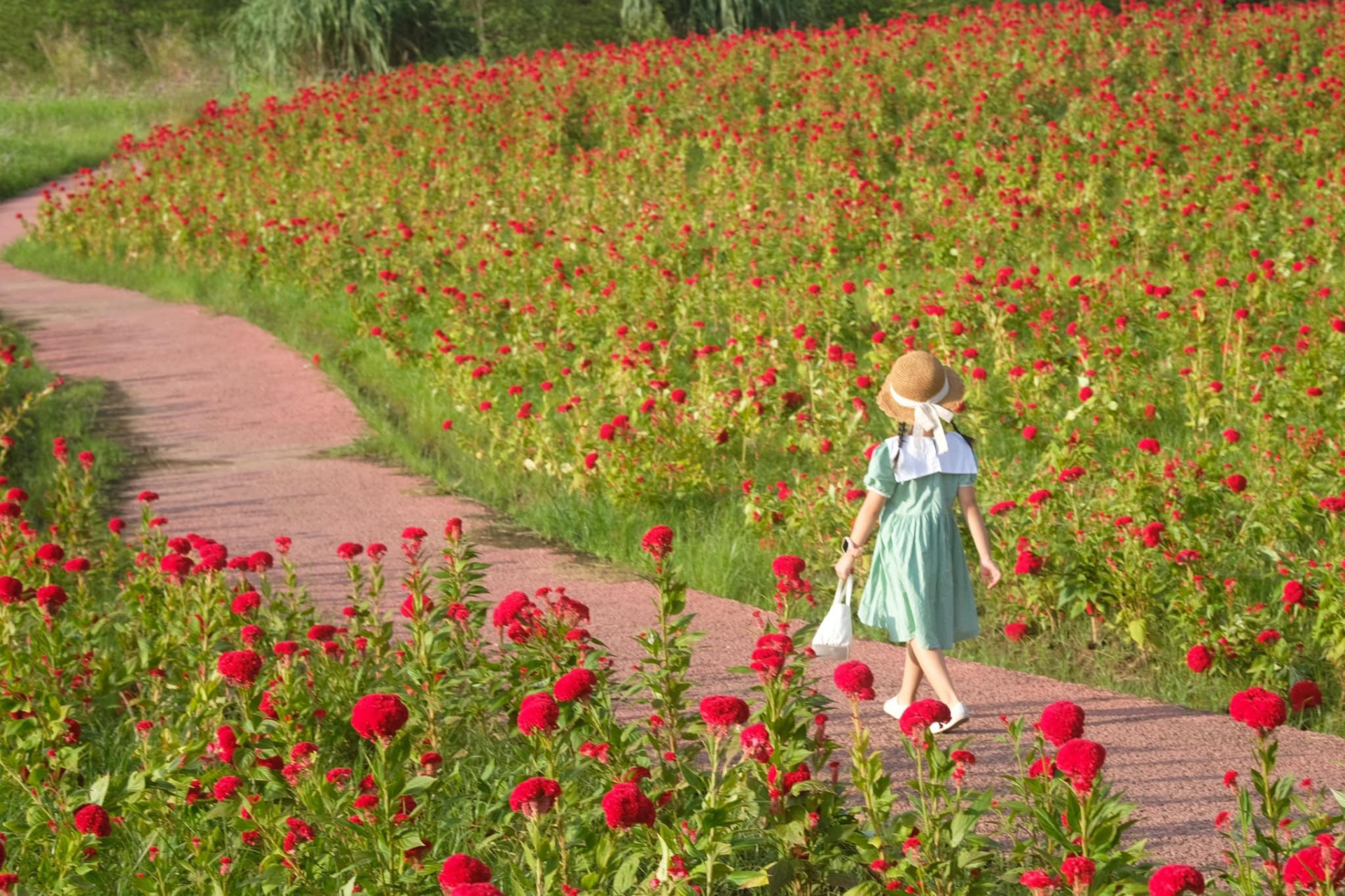 Hoạt động thể thao tại Ecopark