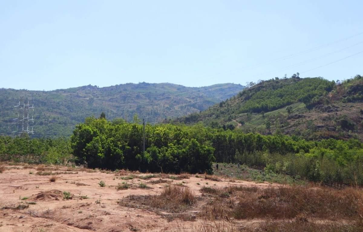 Phân loại đất BCS