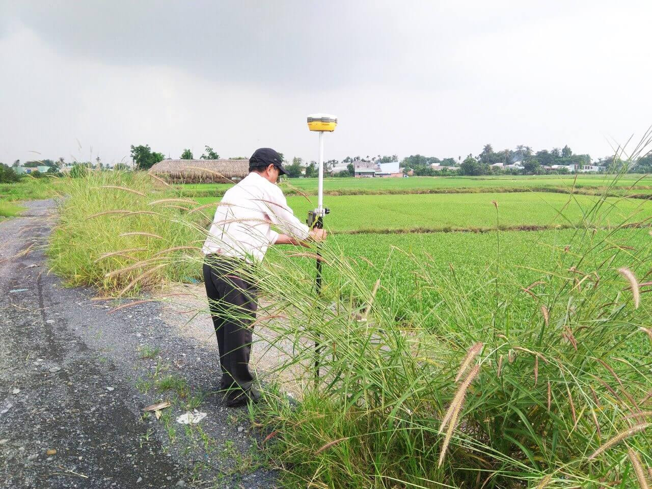 Quản lý đất đai