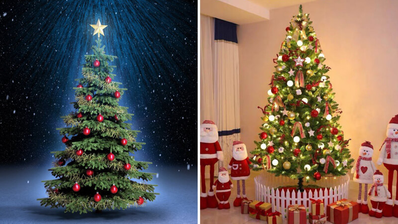 Cây thông Noel