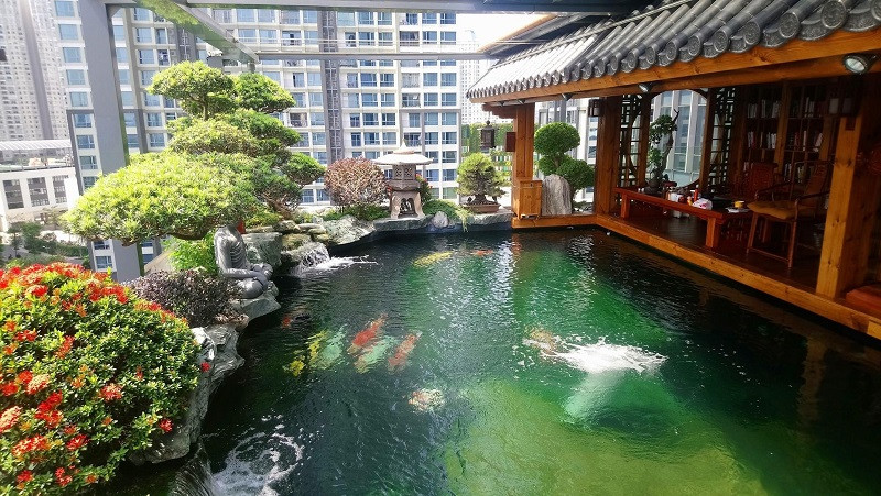 Hồ cá thủy sinh trang trí Tết