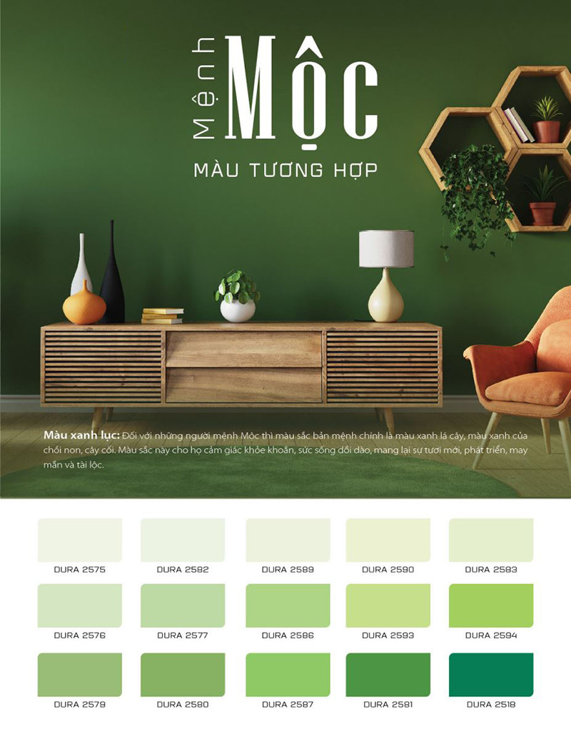 Màu sơn hợp mệnh Mộc